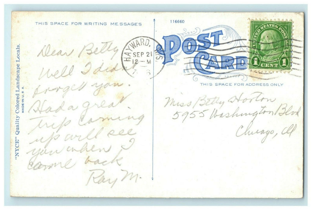 1946 Greetings From Hayward Wisconsin WI Posted Vintage Postcard