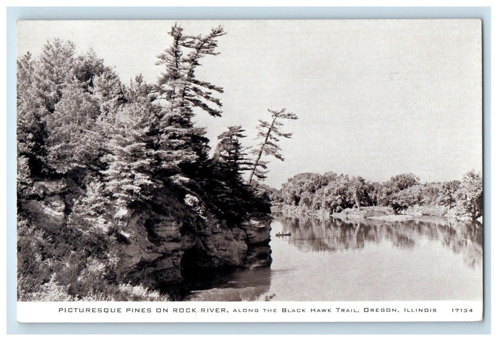 Oregon Illinois IL, Picturesque Pines On Rock River Black Hawk Trail Postcard