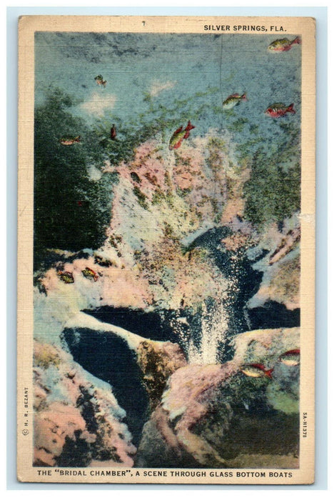1936 Glass Bottom Boats, Bridal Chamber Silver Springs Florida FL Postcard