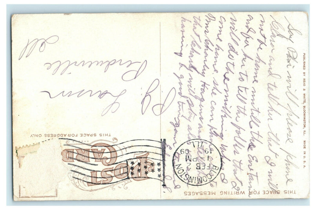 1909 East Side Square Bloomington Illinois IL Cow Milking Trolley Postcard