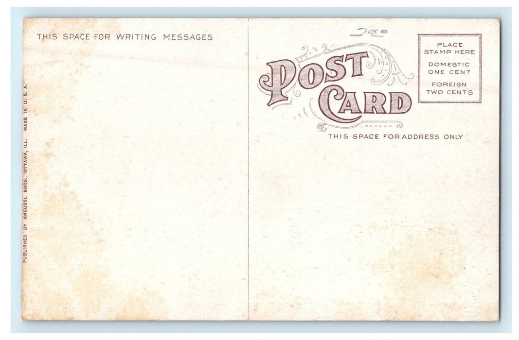 c1910 Winter Scene Bailey Falls Deer Park And Starved Rock Illinois IL Postcard