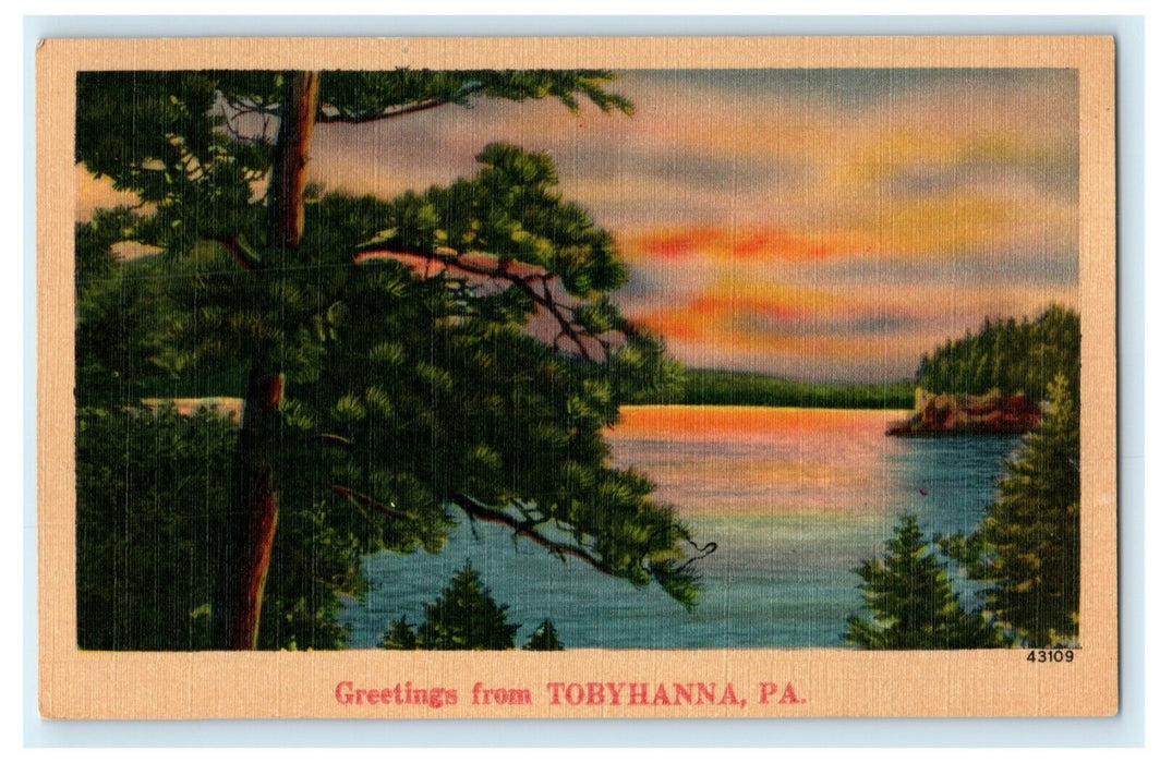 c1940's Greetings From Tobyhanna Pennsylvania PA Vintage Postcard