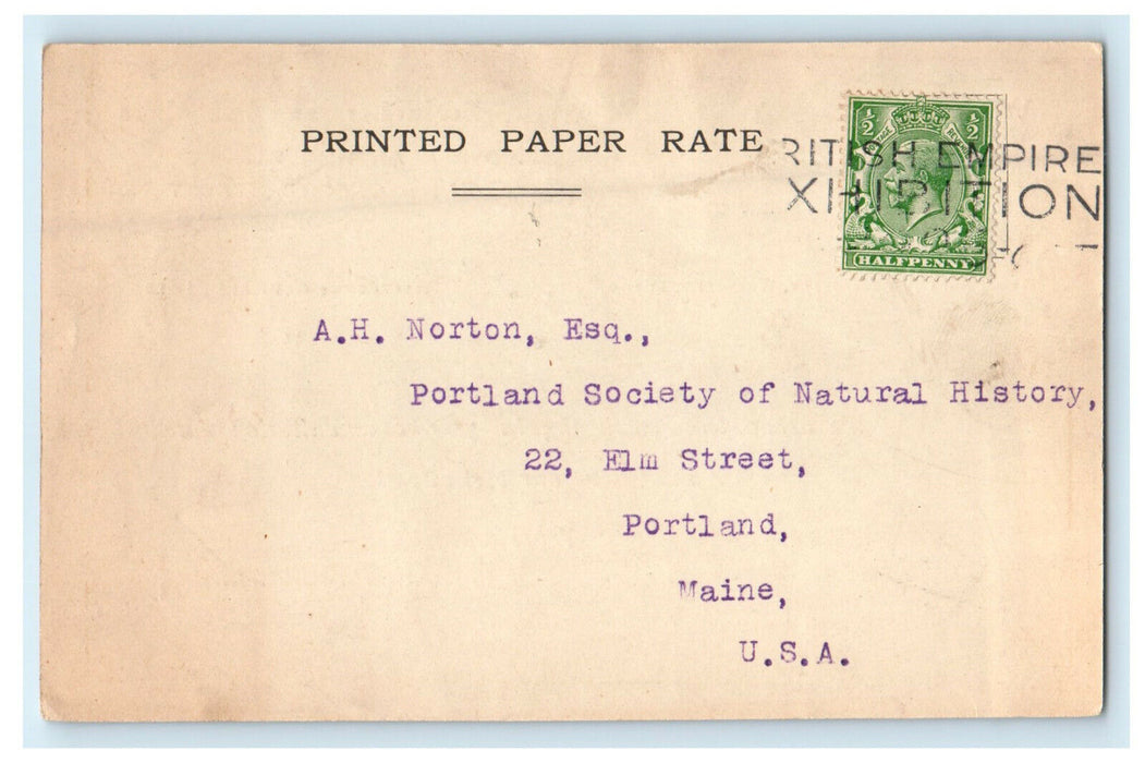 c1905s Wheldon & Wesley LTD New Oxford Street London Posted Advertising Postcard