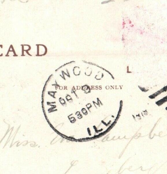 1919 Cook County Institution At Dunning Maywood Illinois IL Antique Postcard