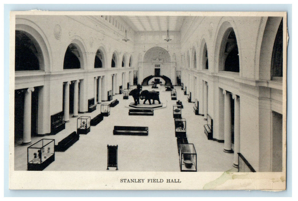 c1920 Stanley Hall Field Museum of Natural History Chicago Illinois IL Postcard