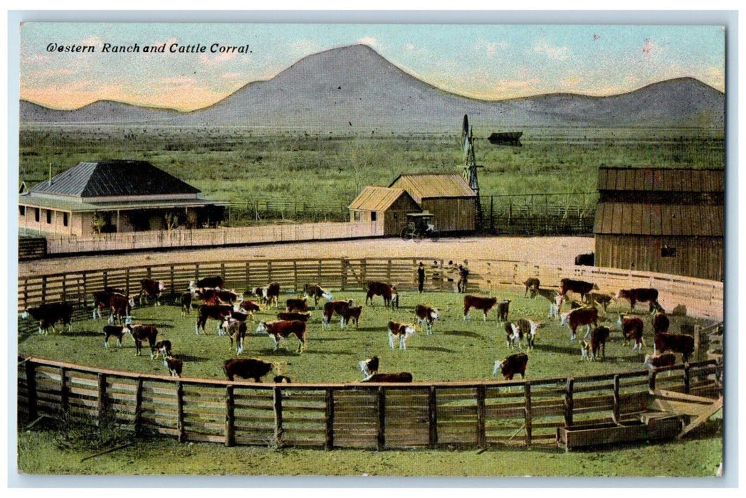 c1910's Western Ranch And Cattle Corral Cows Farm Canada, Animals Postcard