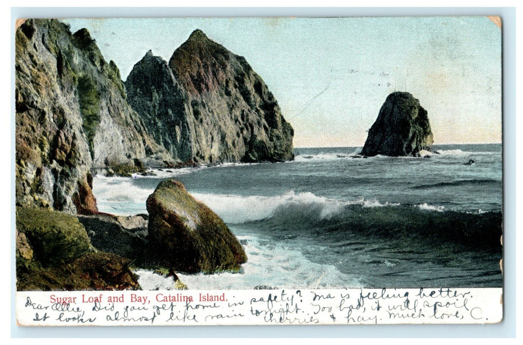 1907 Sugar Loaf and Bay Catalina Island California CA Posted Antique Postcard