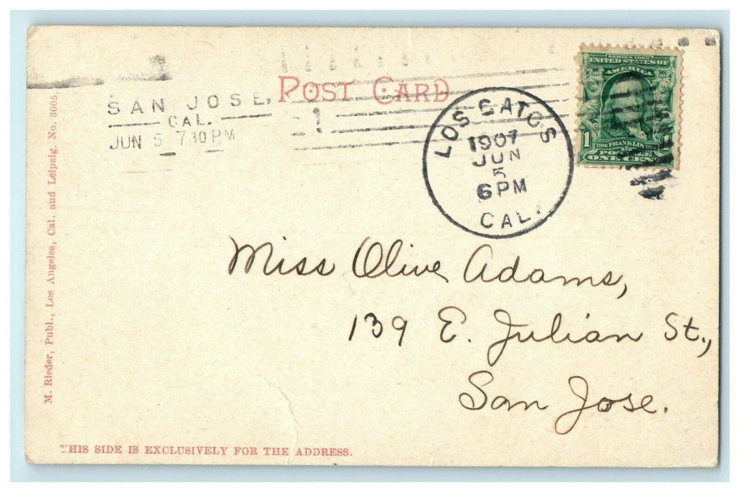 1907 Sugar Loaf and Bay Catalina Island California CA Posted Antique Postcard