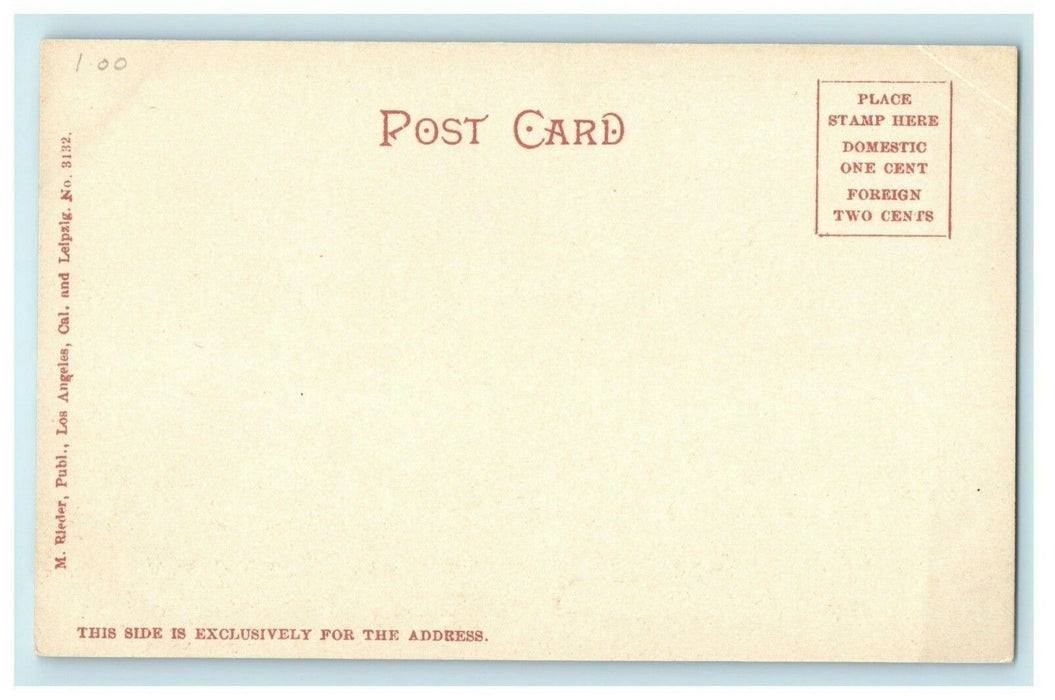 1899 Gathering Moonstones Beach Catalina Island California CA Antique Postcard