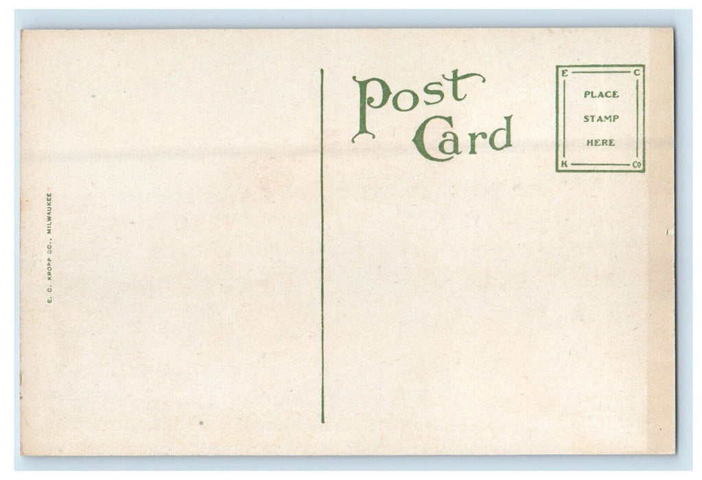 c1910's Masonic Temple Paint Store Street View Elgin Illinois IL Postcard