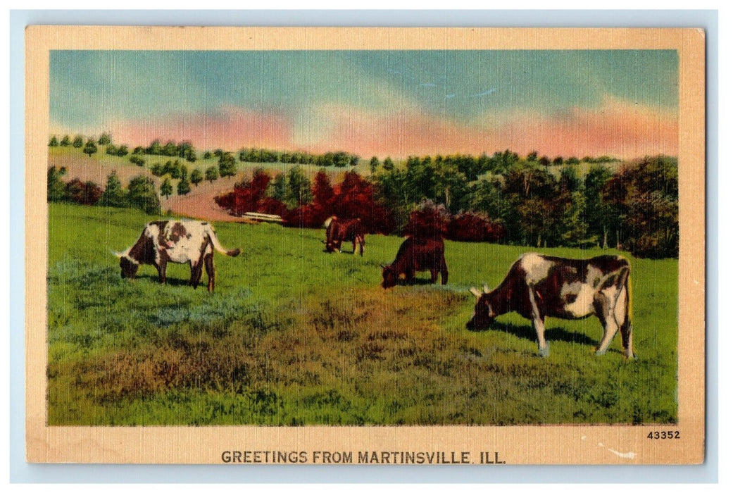 Greetings From Martinsville Illinois IL, Cows Vintage Postcard