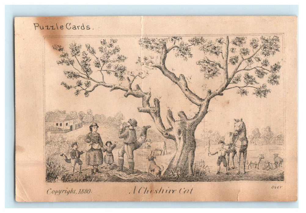 1880 Cheshire Cat Puzzle Sketch Puzzle Eclipse Wringer Worcester MA Trade Card