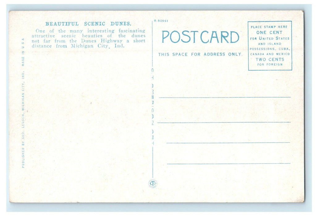 c1920s Beautiful Scenic Dunes, Near Michigan City Indiana IN Unposted Postcard