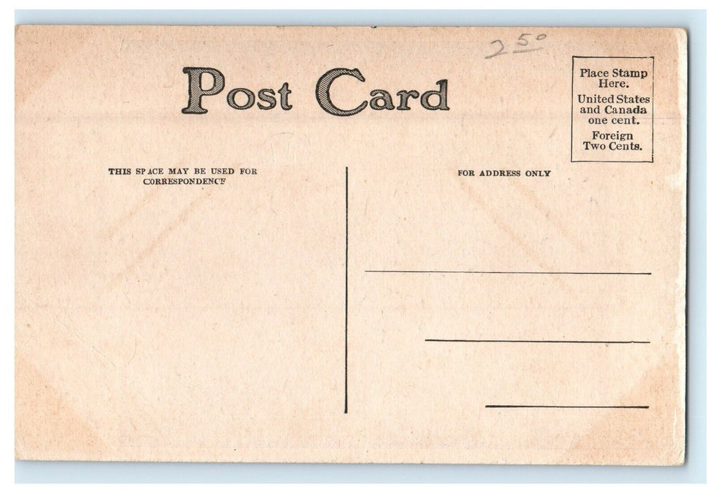 c1910 Bear Den Lincoln Park Chicago Illinois IL Unposted Antique Postcard