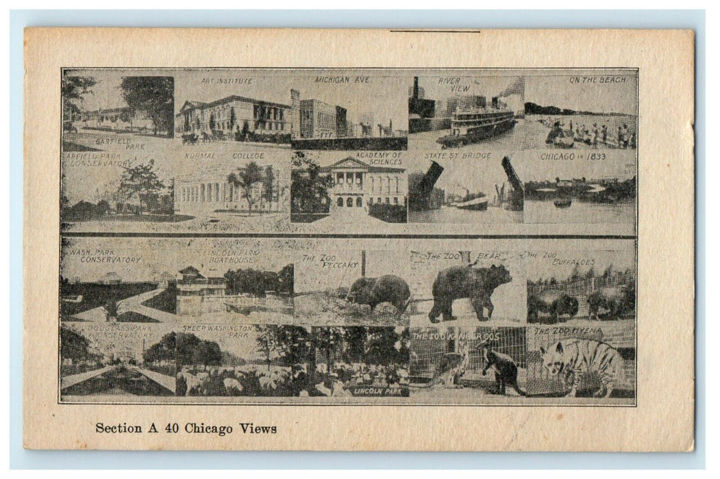 c1910 Section A 40 Chicago View Illinois IL Multiview Postcard