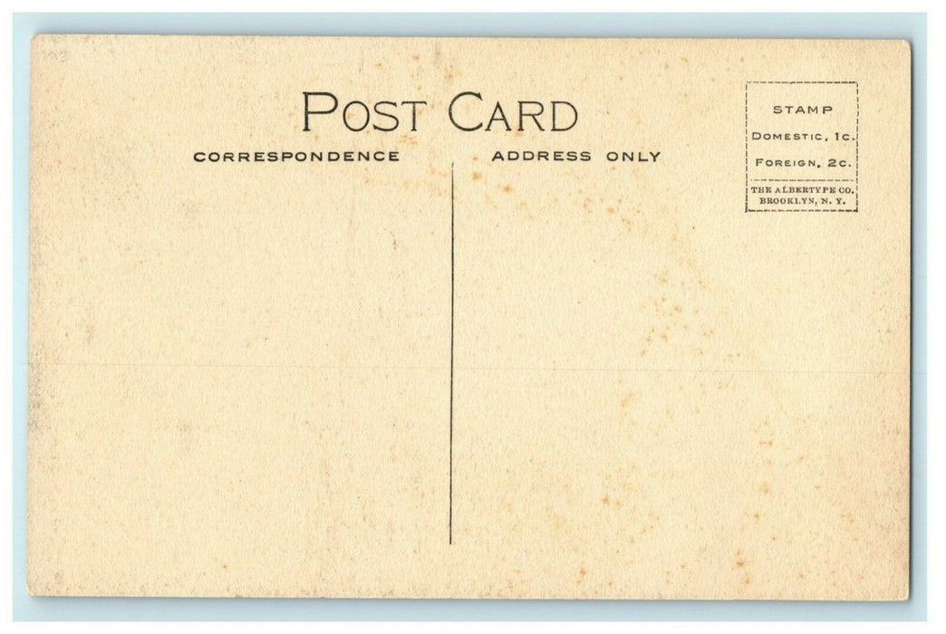 c1910 Ames Public Library Ames Iowa IA Unposted Antique Postcard