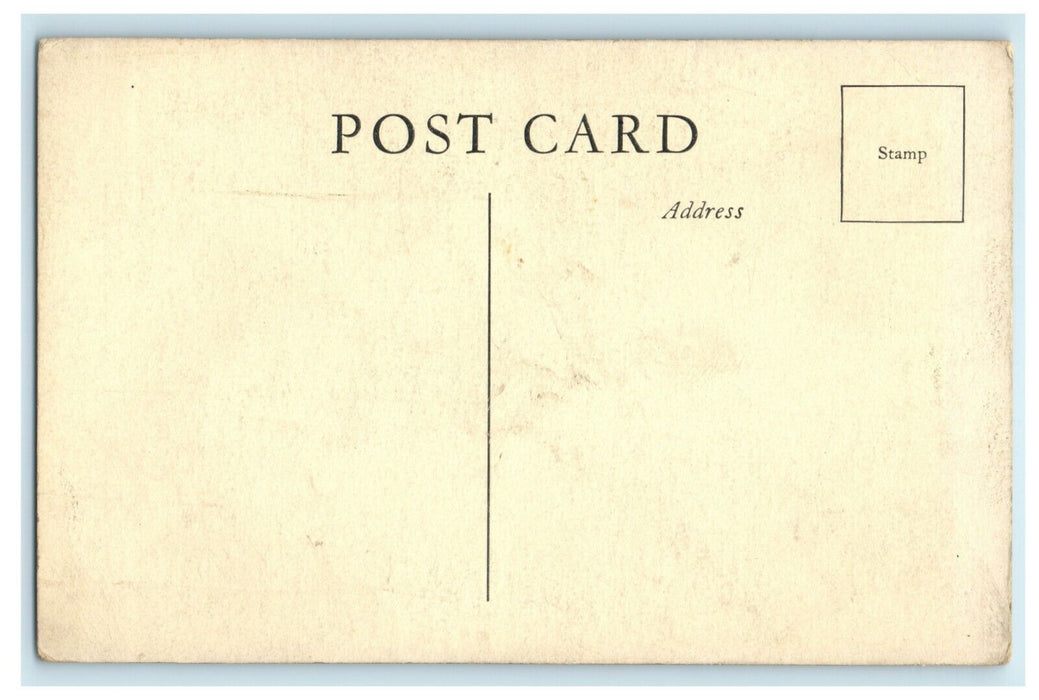 Metropolitan Museum of Art American Wing Series Oriole Maryland MD Postcard