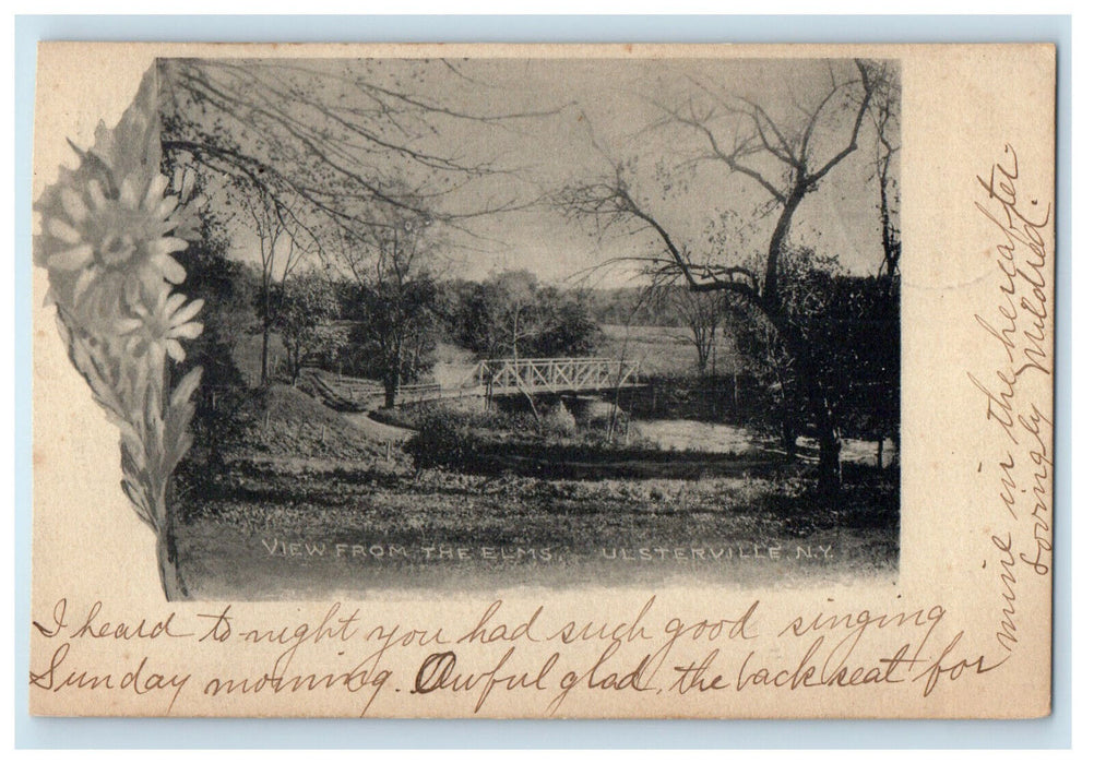 1906 View from the Elms Ulsterville New York NY Pinebush NY Postcard