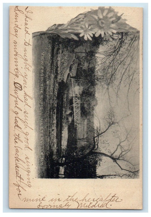1906 View from the Elms Ulsterville New York NY Pinebush NY Postcard