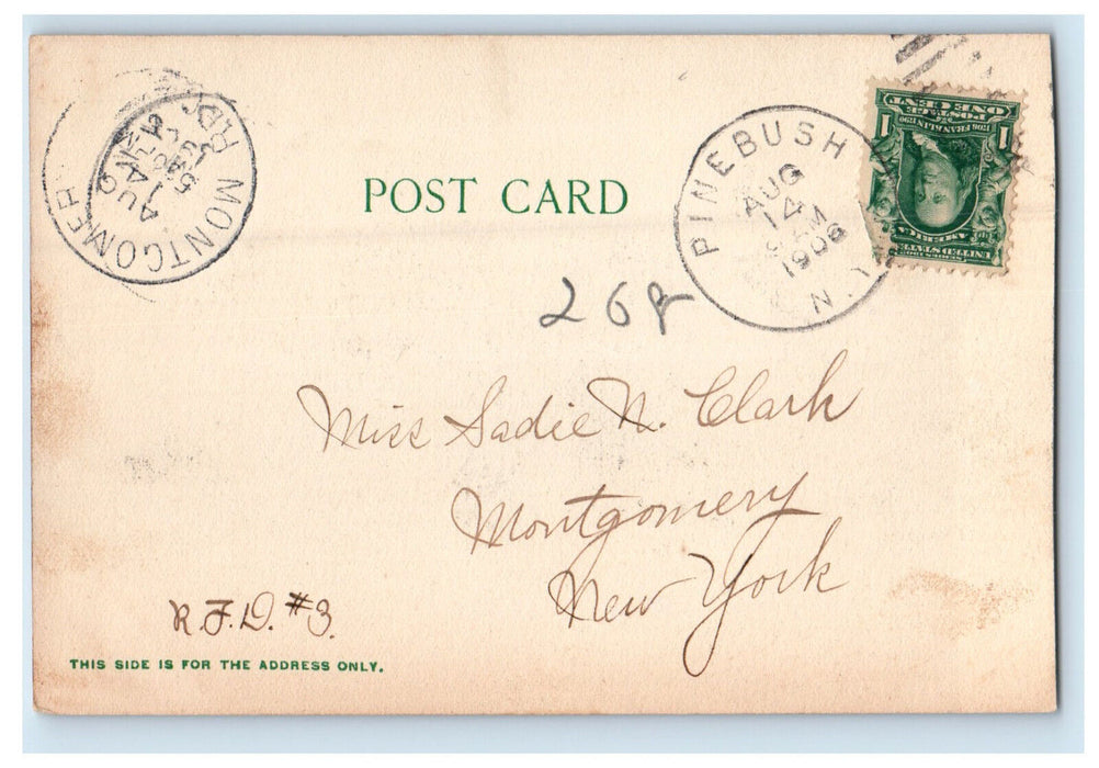1906 View from the Elms Ulsterville New York NY Pinebush NY Postcard