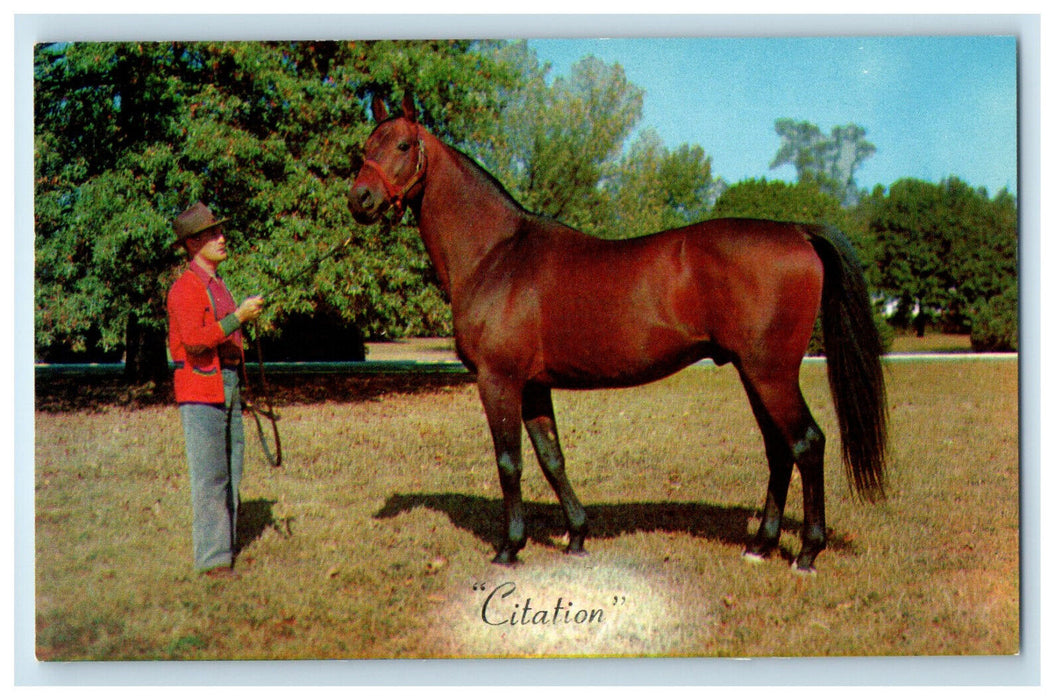 c1950s Calumet's Farm Citation Lexington Kentucky KY Vintage Postcard