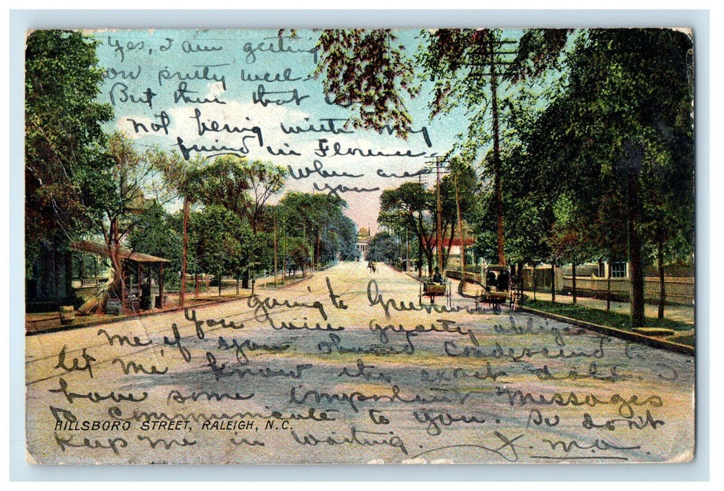 1906 View Of Hillsboro Street Raleigh North Carolina NC Posted Antique Postcard