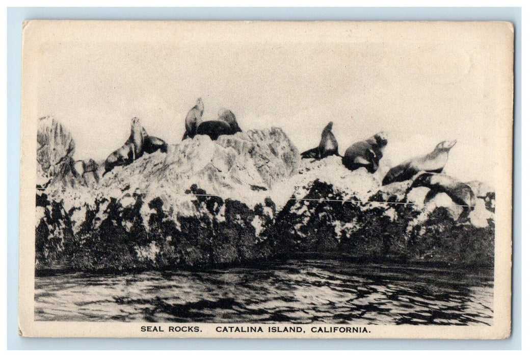 c1910's A View Of Seal Rocks At Catalina Island California CA Antique Postcard