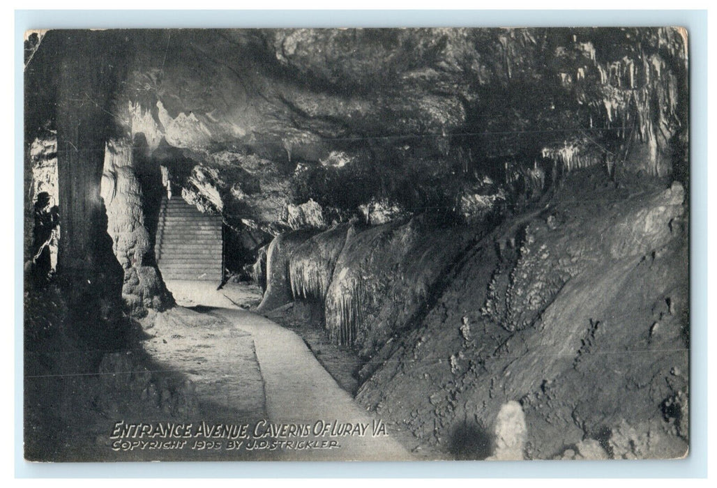 1906 Entrance Avenue of Caverns of Luray Virginia VA Antique Postcard