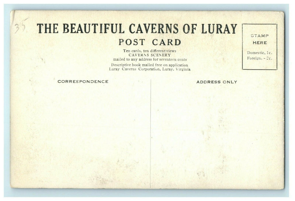 1906 Entrance Avenue of Caverns of Luray Virginia VA Antique Postcard