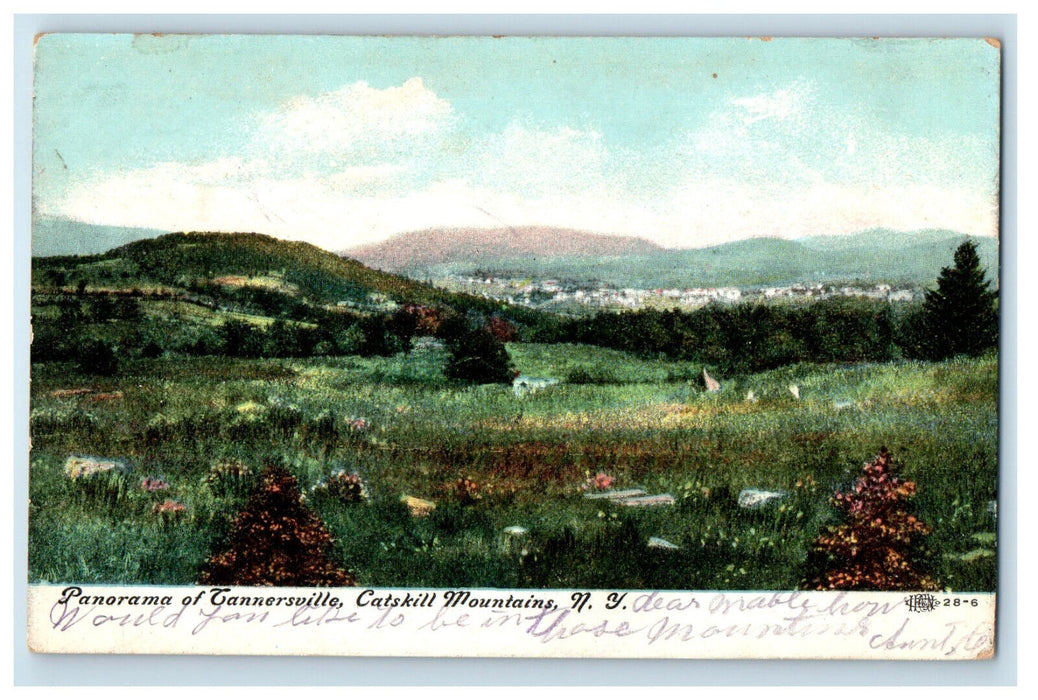 c1910 Panorama of Tannersville Catskill Mountains. New York NY Postcard