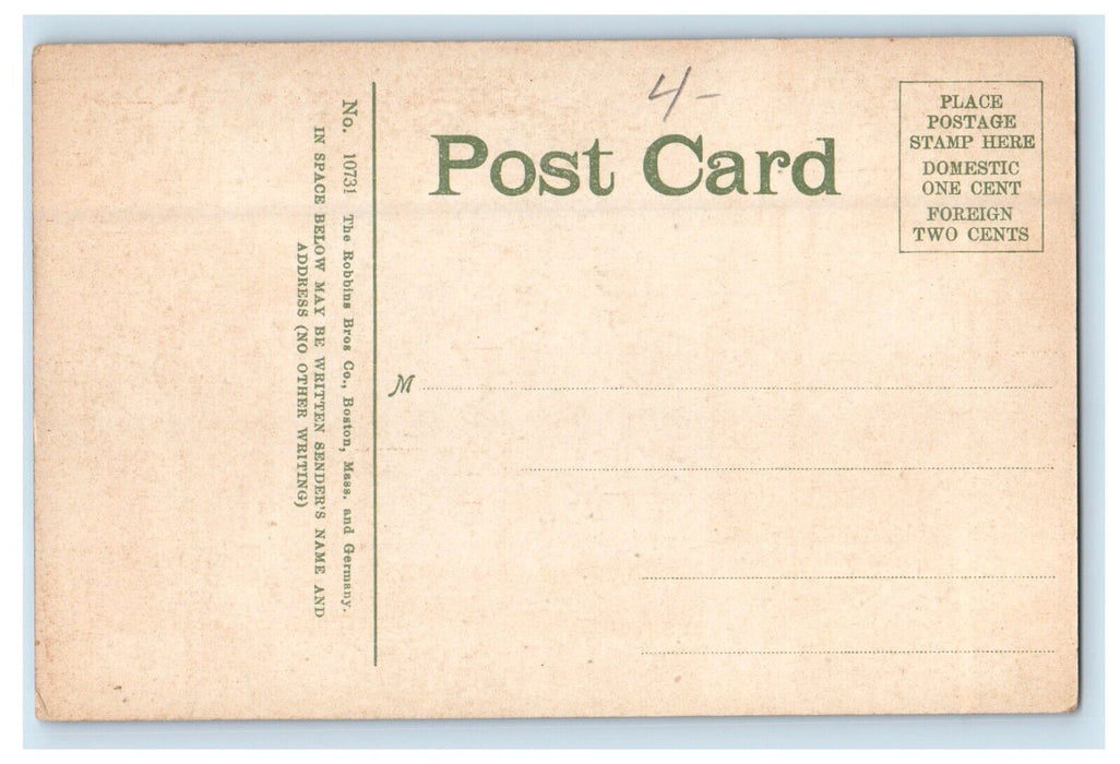 Entrance To Bowdoin College Building Brunswick Maine ME Antique Postcard