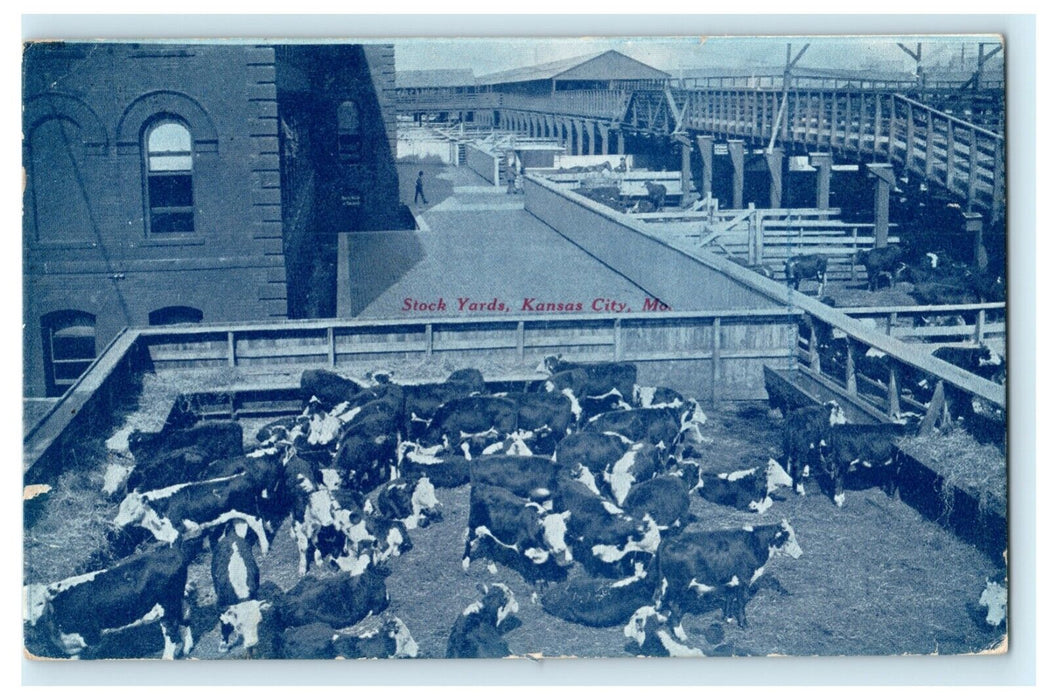 1907 Stock Yards Kansas City Missouri MO Cattle H.P. Herzberg Antique Postcard