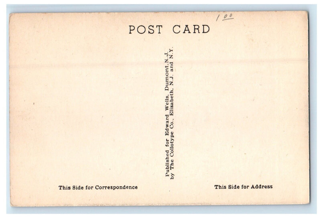 c1910 Steamboat Scene, Champlain Canal and Riverside Park Whitehall NY Postcard