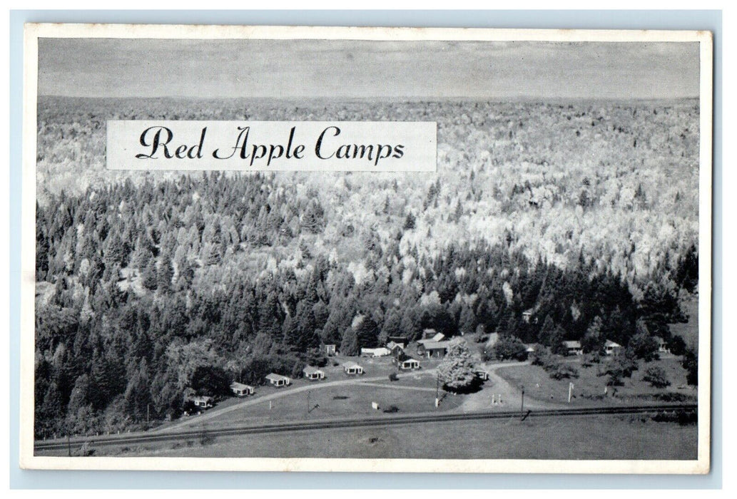 c1905 Bird's Eye View Of Red Apple Camps Macwahoc Maine ME Vintage Postcard