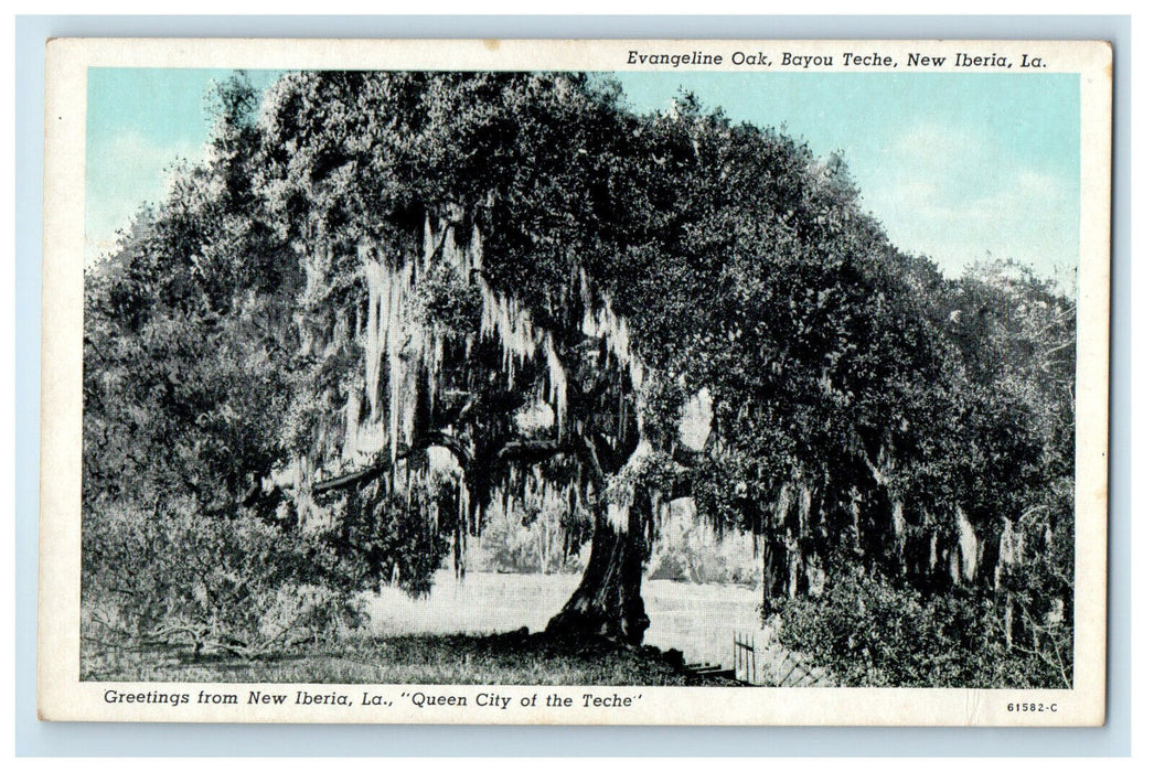 c1920s Greetings from New Iberia Louisiana LA Queen City of the Teche Postcard