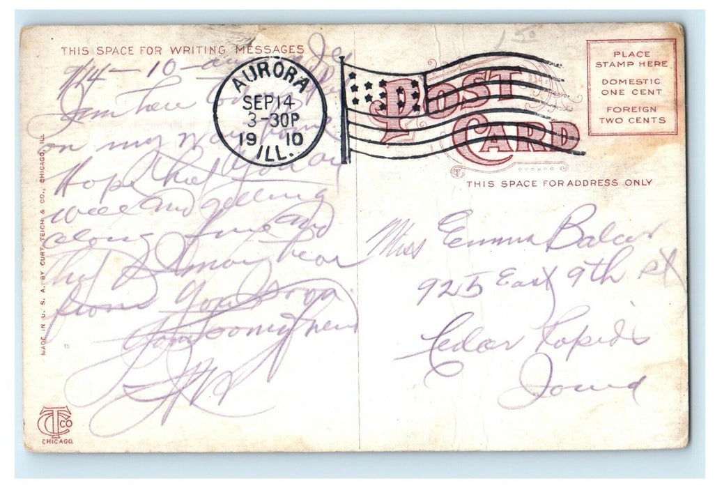 1910 Boat Landing Riverview Park Aurora Illinois IL Posted Antique Postcard