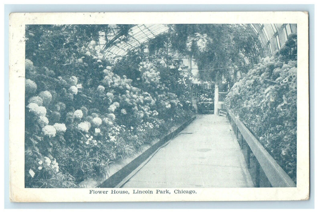1909 Flower House Lincoln Park Bellaire Chicago Illinois IL Antique Postcard