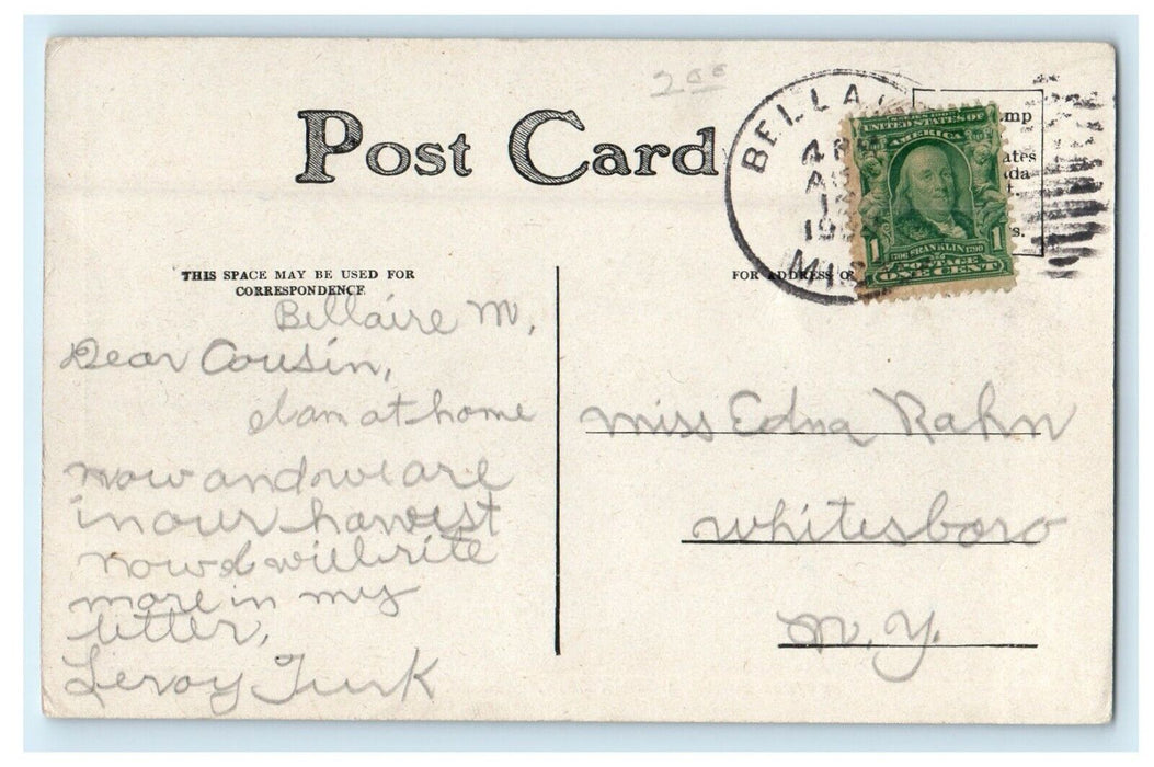 1909 Flower House Lincoln Park Bellaire Chicago Illinois IL Antique Postcard