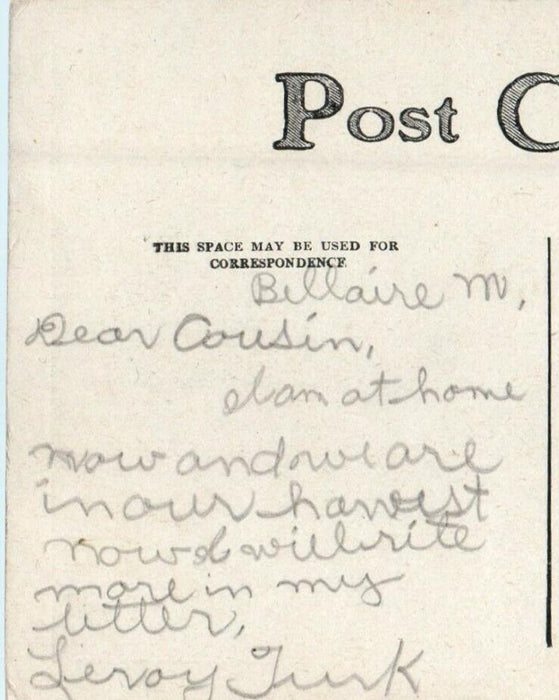 1909 Flower House Lincoln Park Bellaire Chicago Illinois IL Antique Postcard