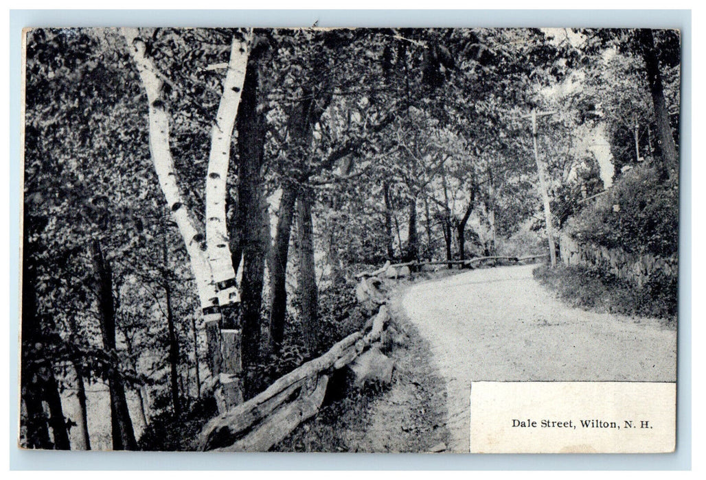 c1910 Dale Street Wilton New Hampshire Unposted Frank W Swallow Postcard