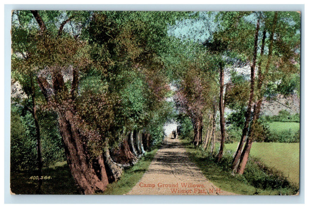 1908 Camp Ground Willows Wilmot Flat New Hampshire NH Antique Postcard