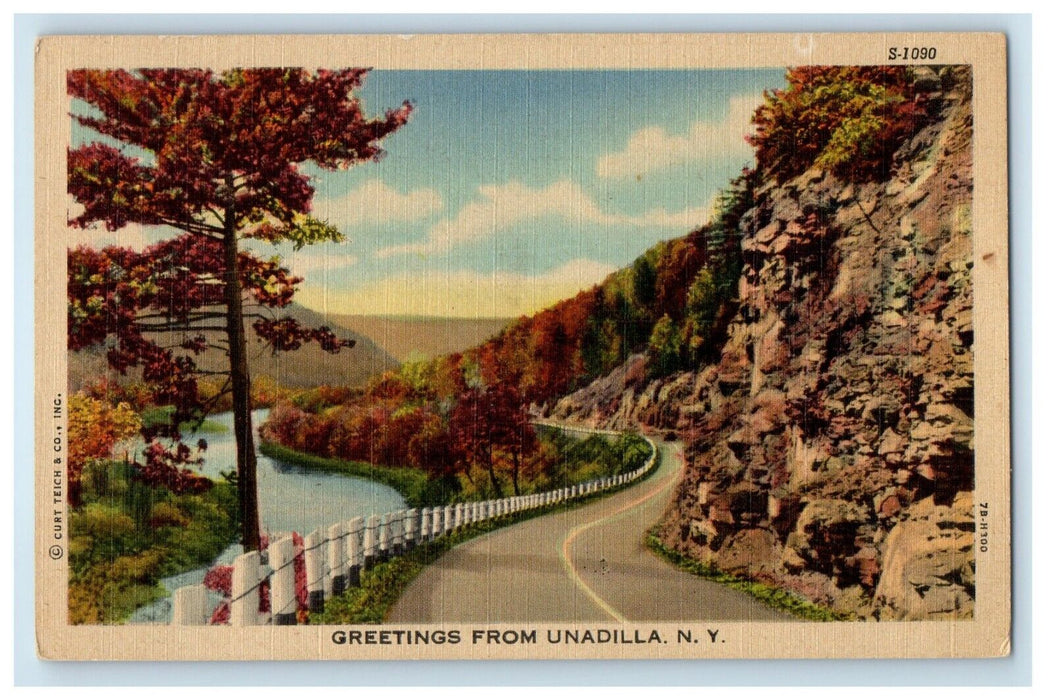 c1930's Greetings From Unadilla New York NY, Curve Road And River View Postcard
