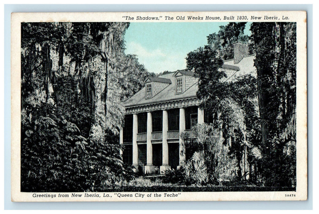 c1920s "The Shadows" The Old Weeks House New Iberia Louisiana LA Postcard