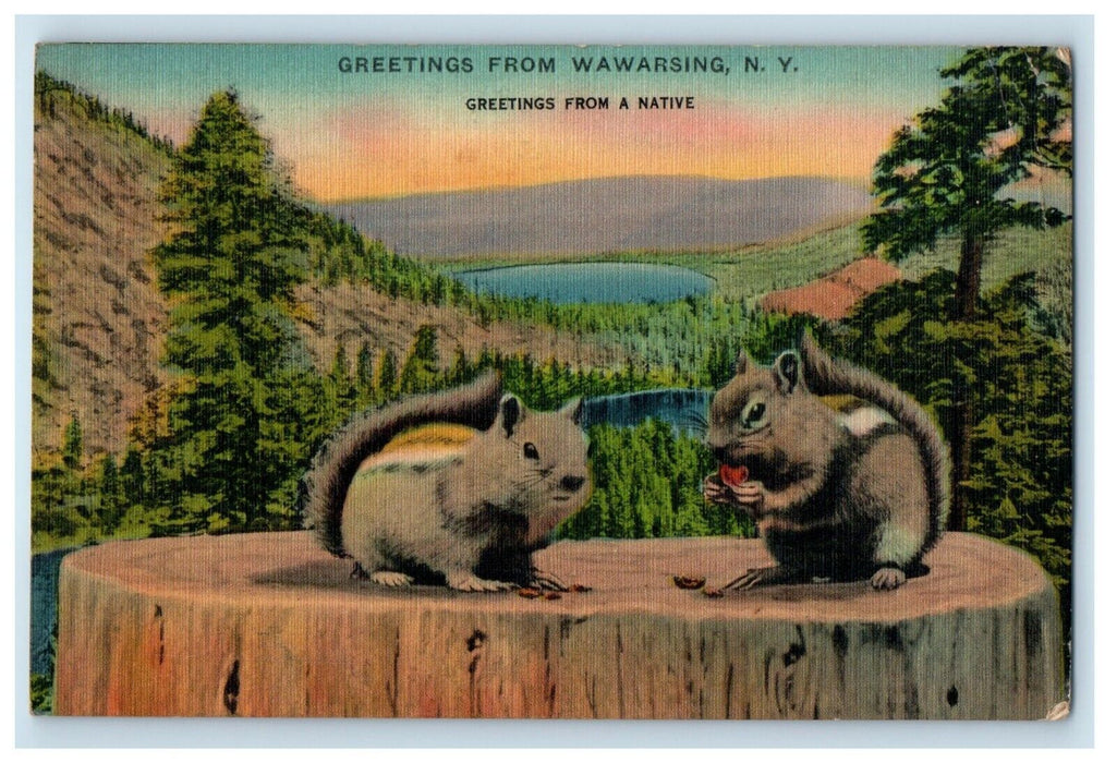 1941 Greetings From Wawarsing New York NY, Chipmunks Postcard