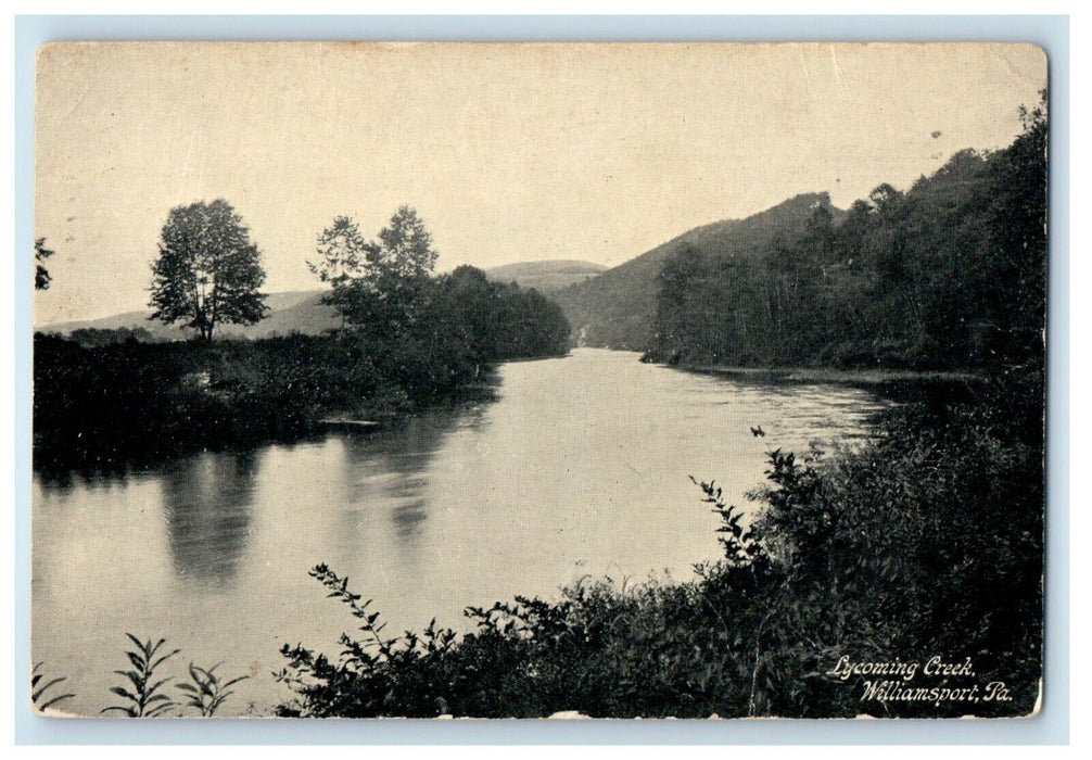 1909 Lycoming Creek Williamsport Pennsylvania PA Posted Antique Postcard