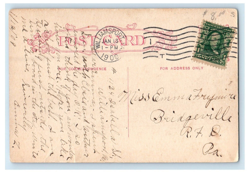 1909 Lycoming Creek Williamsport Pennsylvania PA Posted Antique Postcard