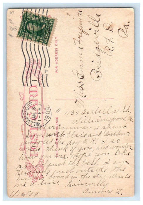 1909 Lycoming Creek Williamsport Pennsylvania PA Posted Antique Postcard