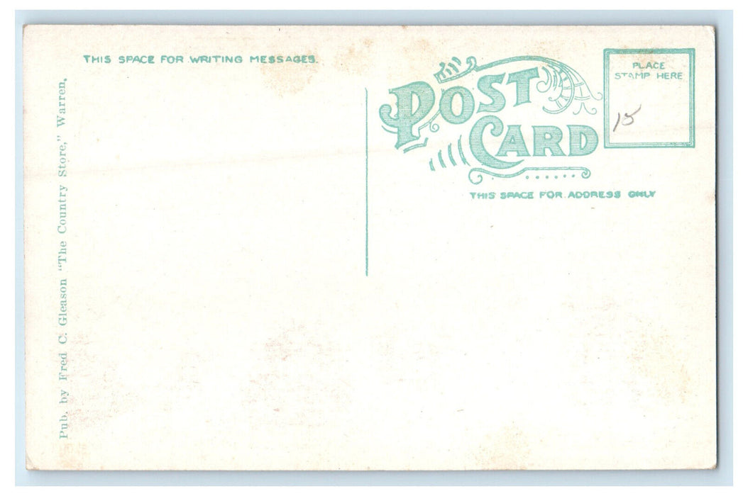 c1910 Moosilauke Warren Village New Hampshire NH Unposted Antique Postcard