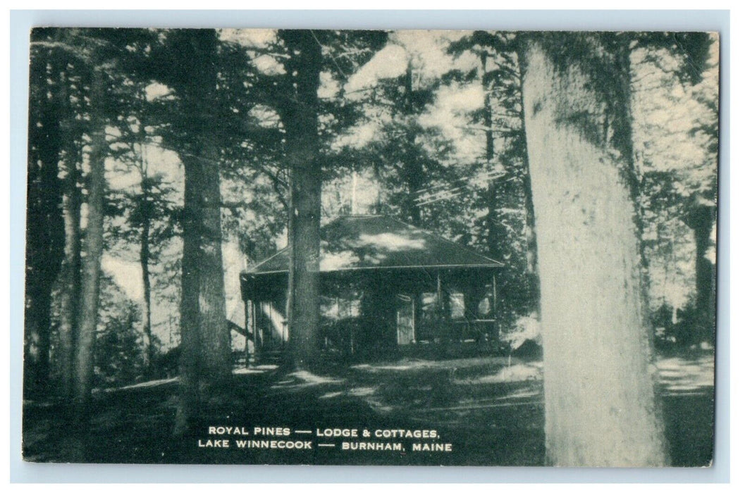 1963 Royal Pines Lodge & Cottages Lake Winnecock Burnham Maine ME Postcard