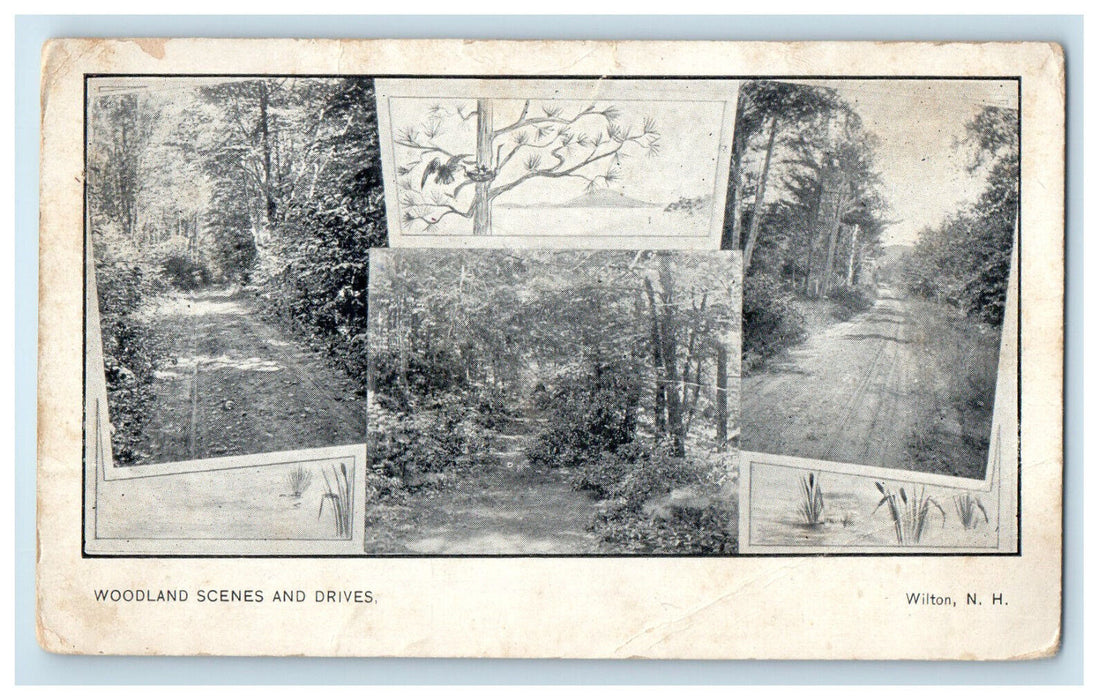 c1920 Woodland Scenes and Drives, Wilton New Hampshire Posted Antique Postcard